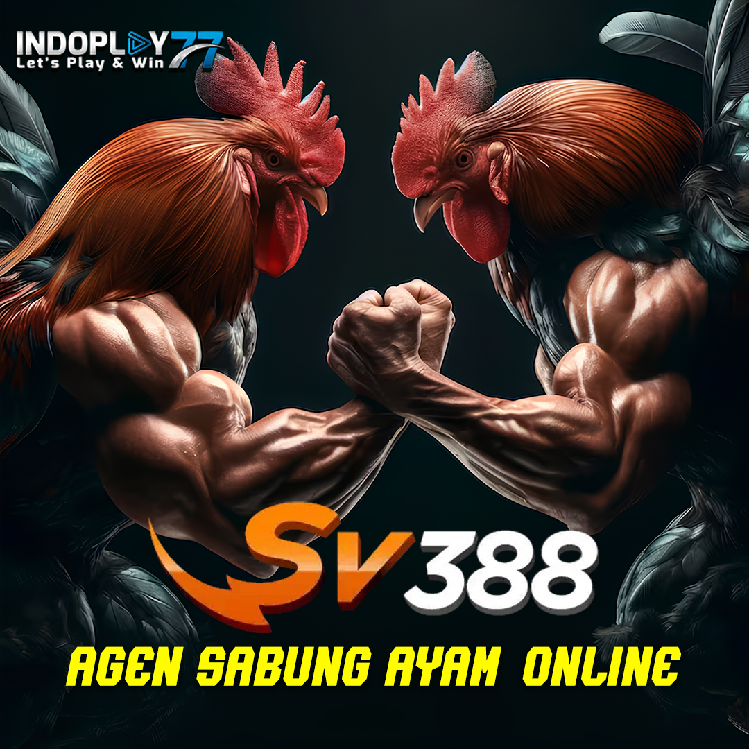 INDOPLAY77 ⚡️ Platform Sabung Ayam SV388 Online Terpercaya Indonesia